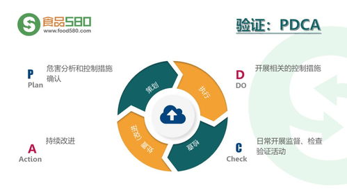 餐饮业食品安全管理体系详解 从后厨到餐桌的实操图解与关键控制点